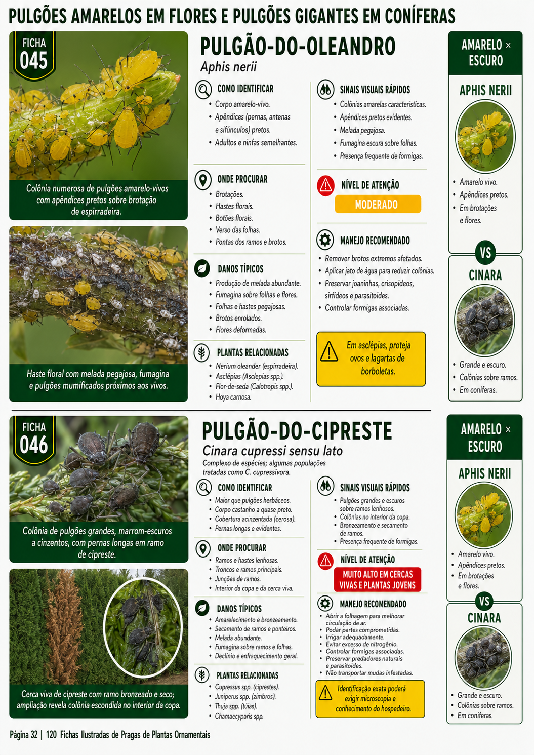 Prévia 8 do produto