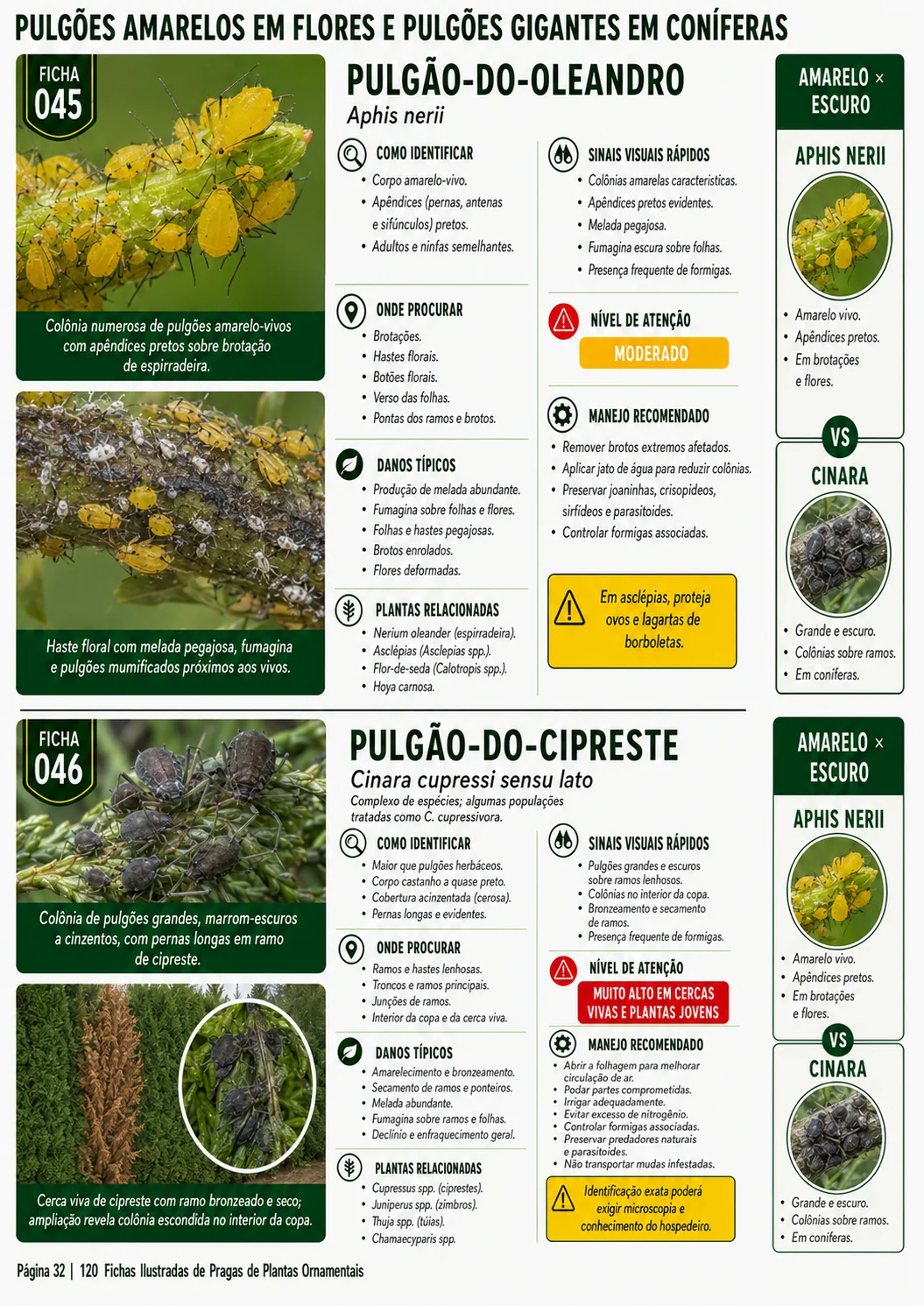 Prévia 8 do produto