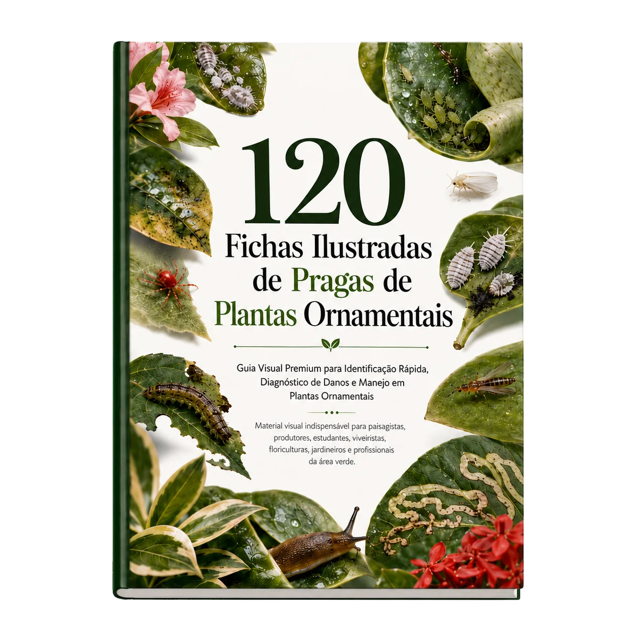 Mockup do Plano Básico