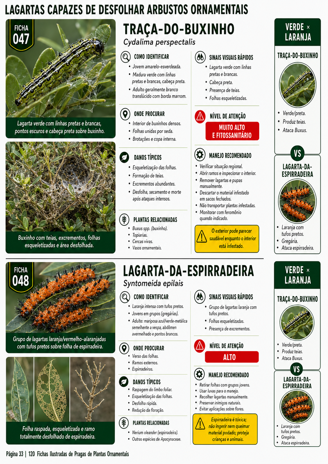 Prévia 4 do produto