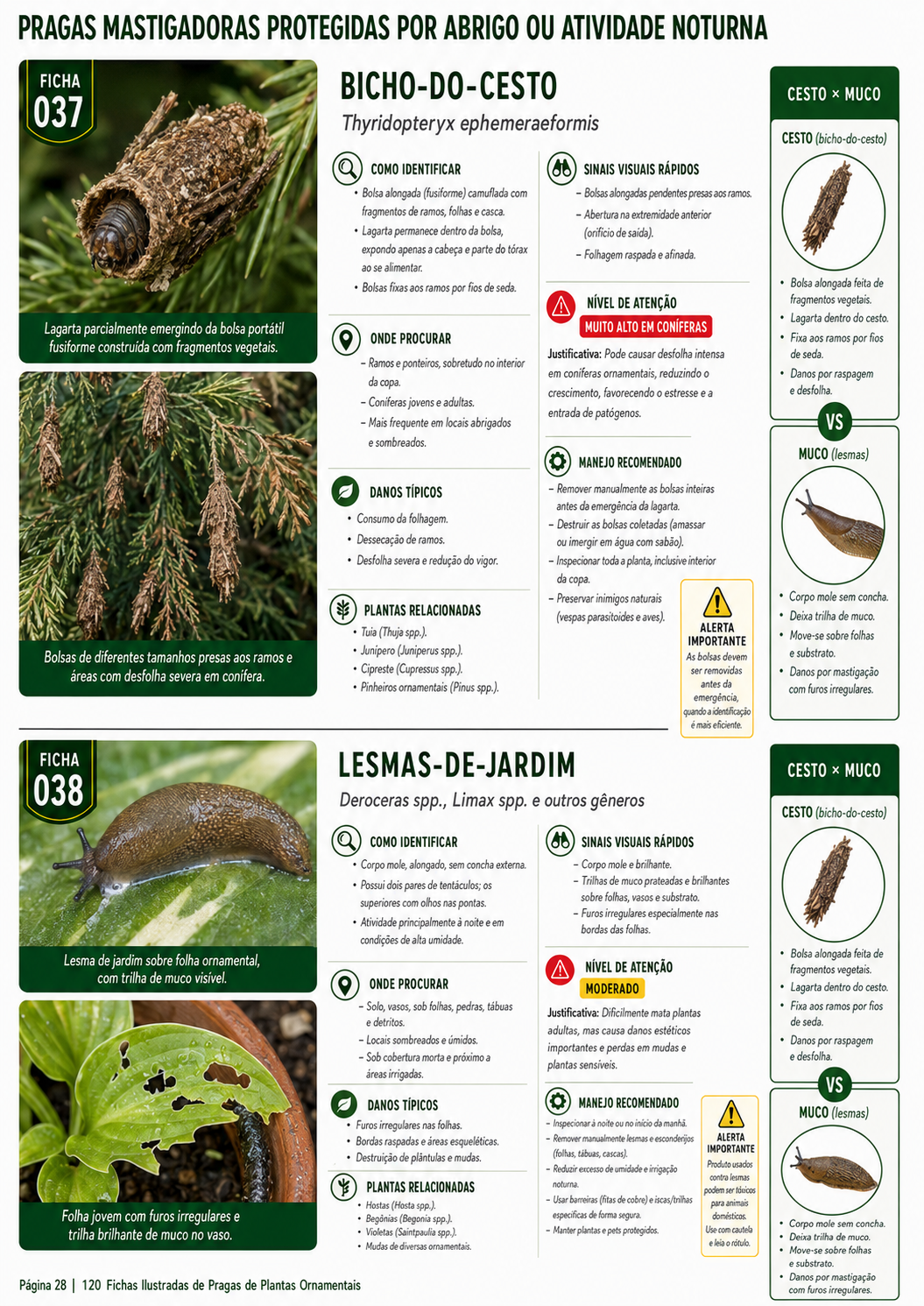 Prévia 7 do produto